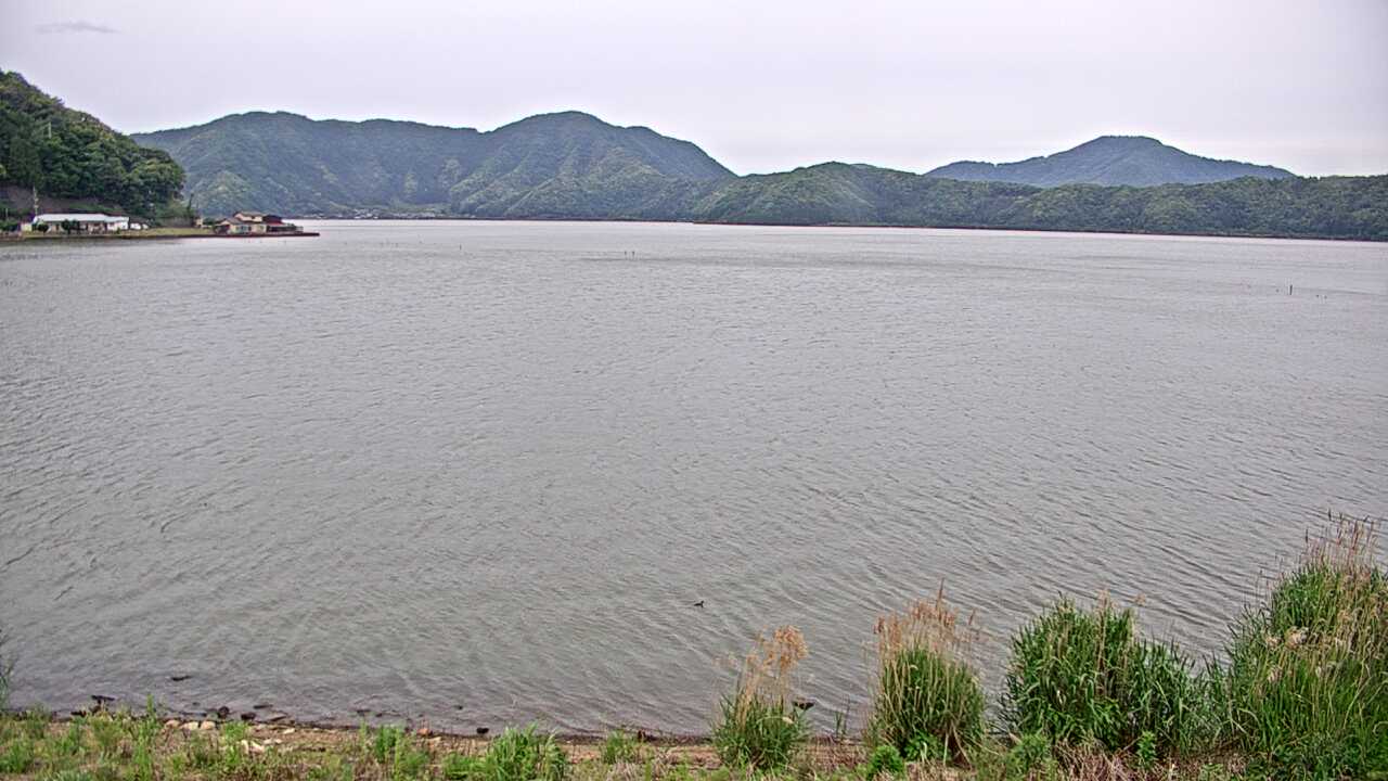 Waterbirds in Lake Mikatako 