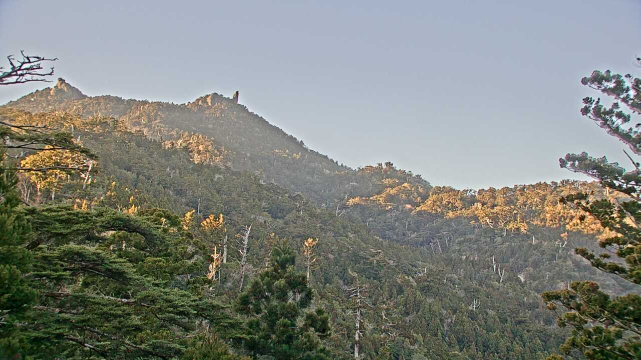 Nagasako Ranch in Kuchierabujima Island and Yakushima Island