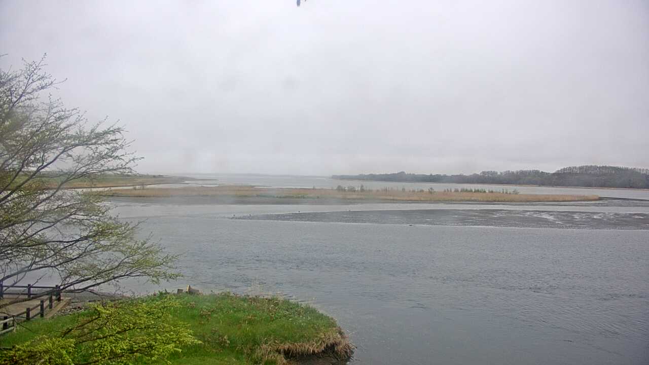 濤沸湖と斜里岳