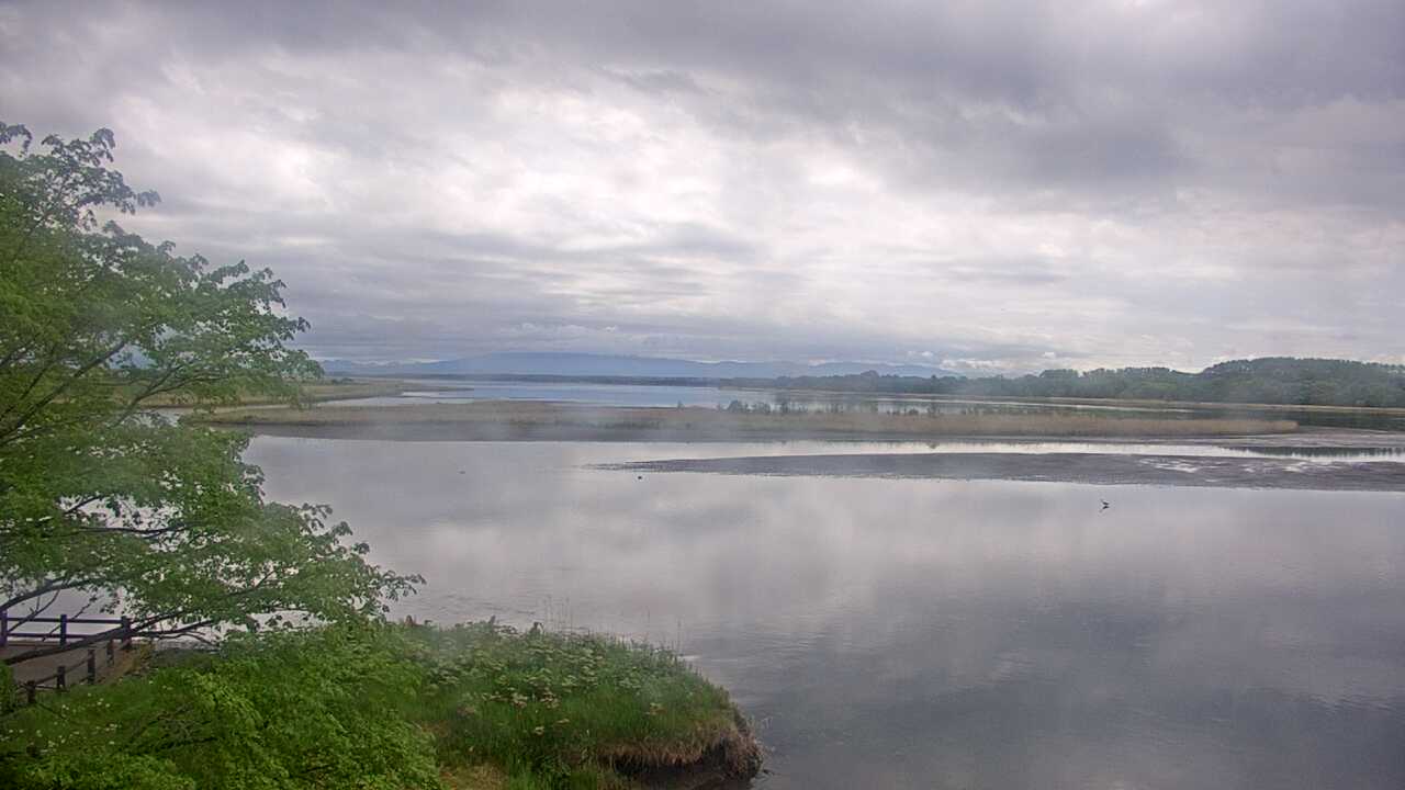 濤沸湖と斜里岳