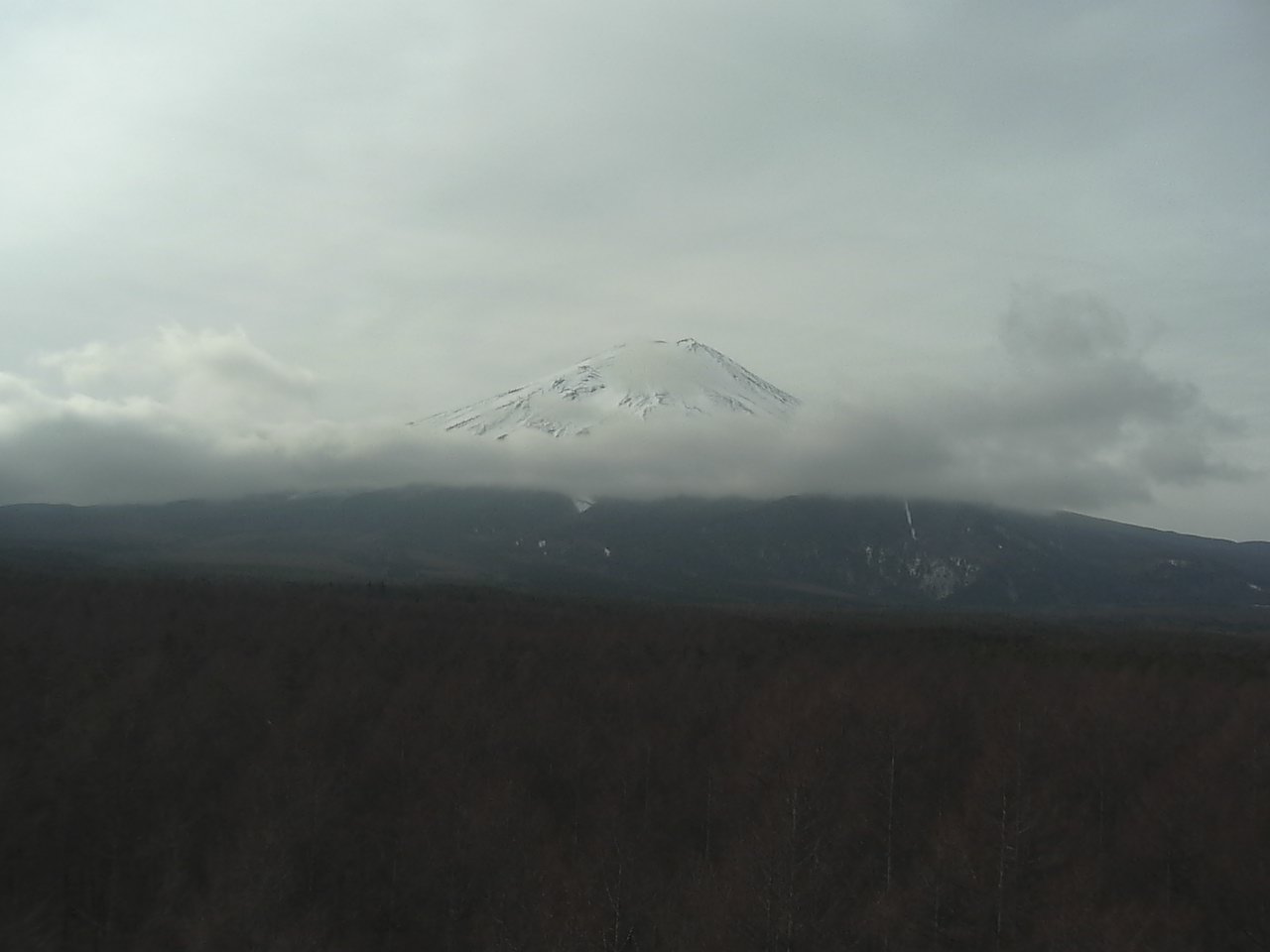 富士北麓からみた富士山2（富士山北麓フラックス観測サイト）
