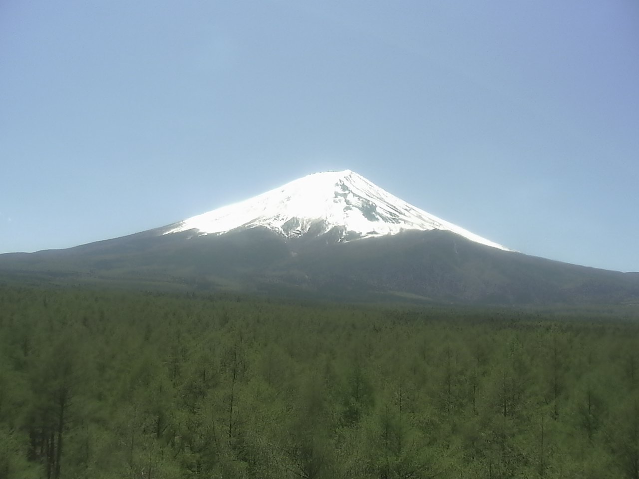 富士北麓からみた富士山2（富士山北麓フラックス観測サイト）