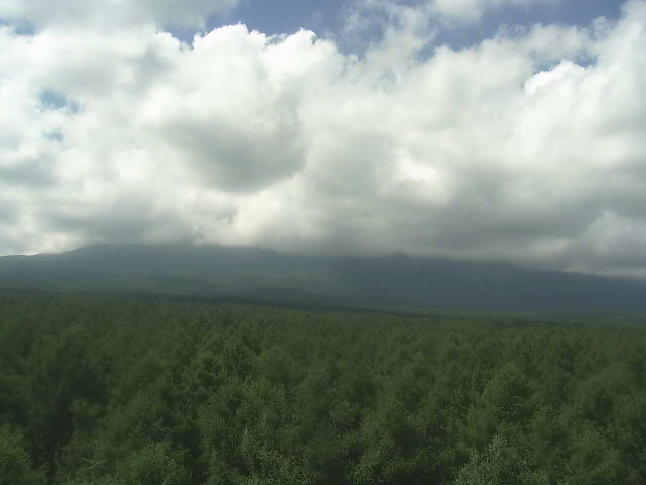 Mt. Fuji as viewed from northern foothills ( Fuji Hokuroku Flux Observation Site)
