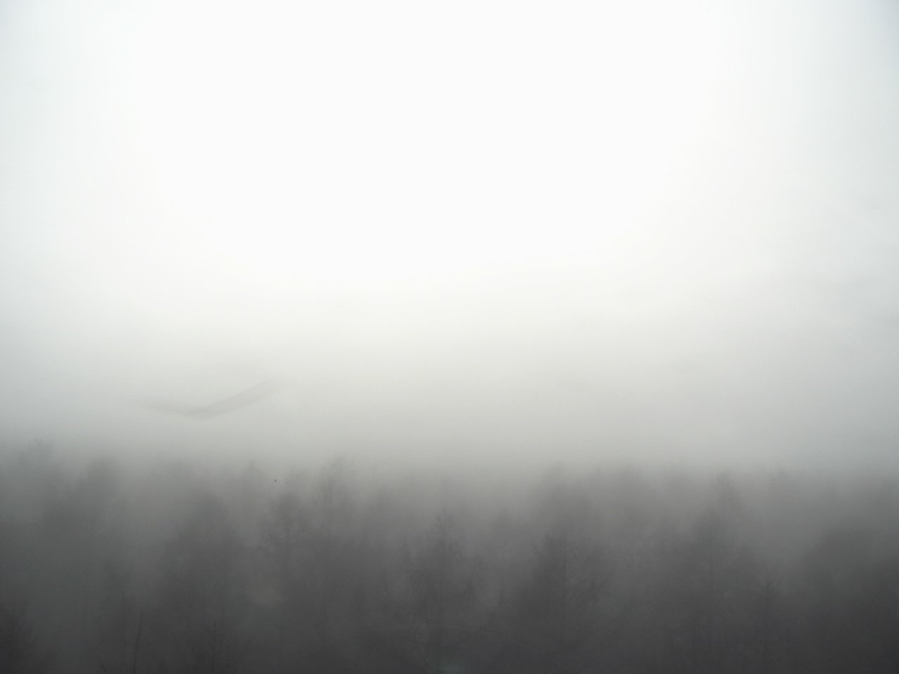 Mt. Fuji as viewed from northern foothills ( Fuji Hokuroku Flux Observation Site)