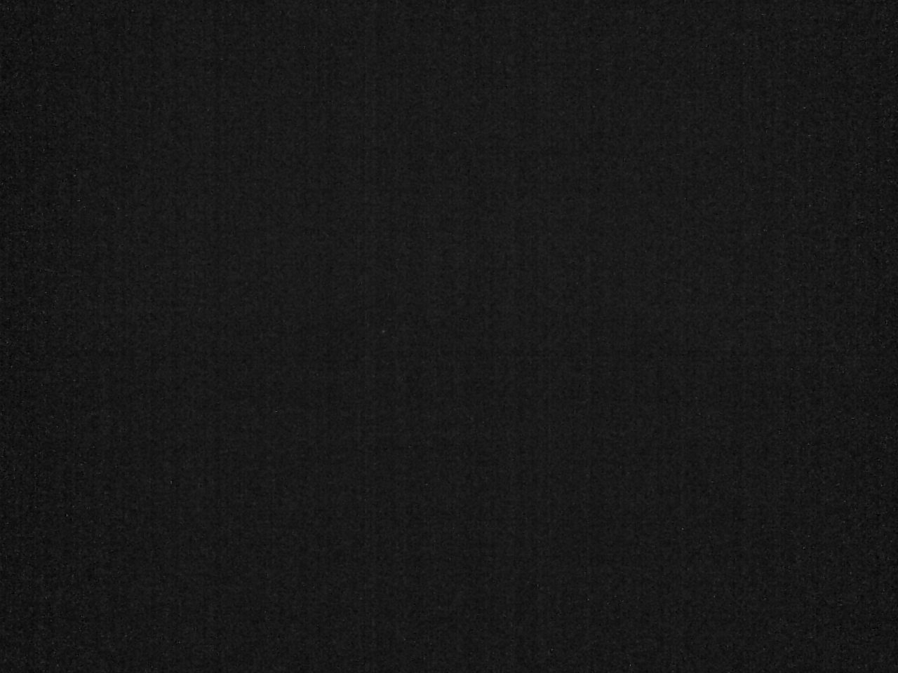 富士北麓からみた富士山2（富士山北麓フラックス観測サイト）