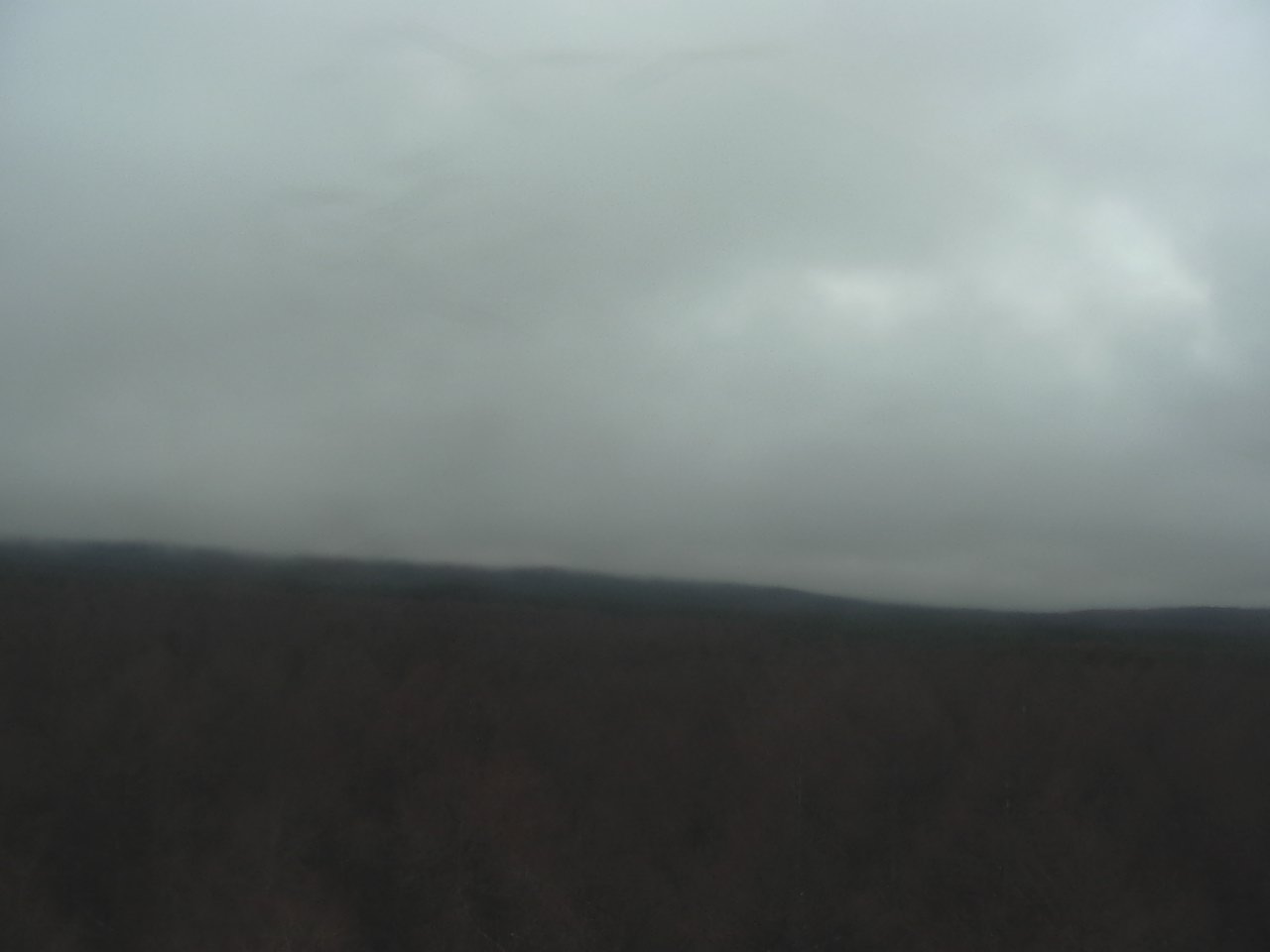 富士北麓からみた富士山2（富士山北麓フラックス観測サイト）