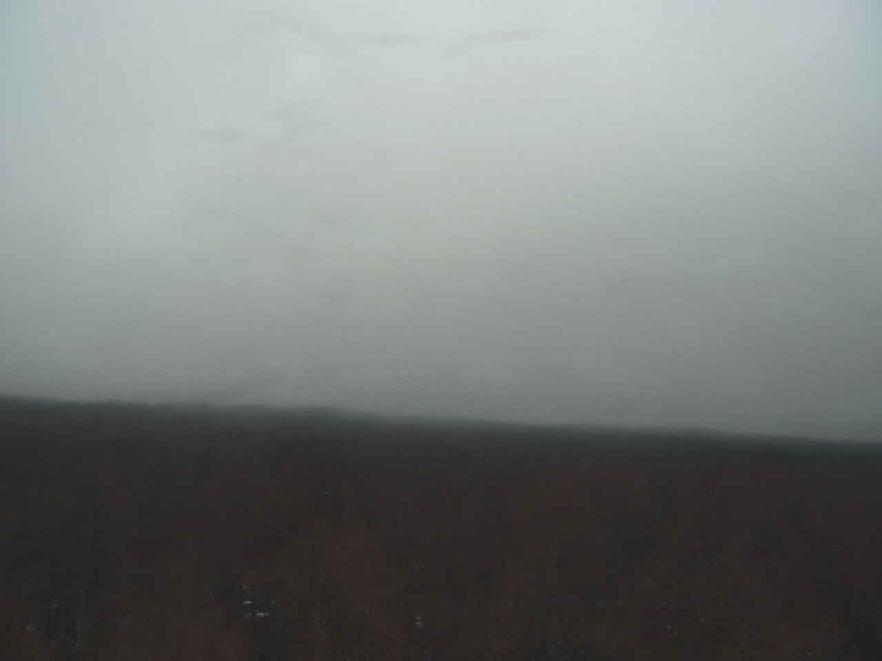 Mt. Fuji as viewed from northern foothills ( Fuji Hokuroku Flux Observation Site)