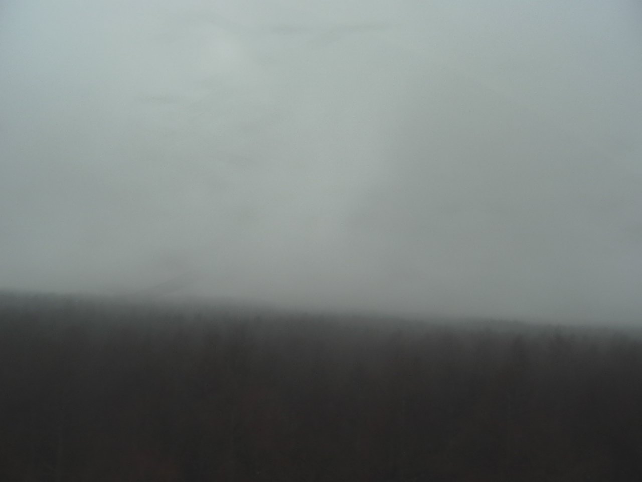 富士北麓からみた富士山2（富士山北麓フラックス観測サイト）