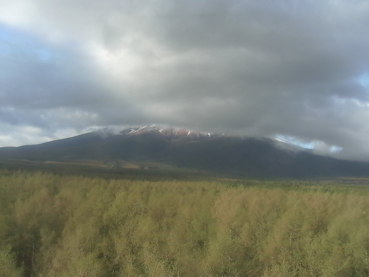 富士北麓からみた富士山2（富士山北麓フラックス観測サイト）