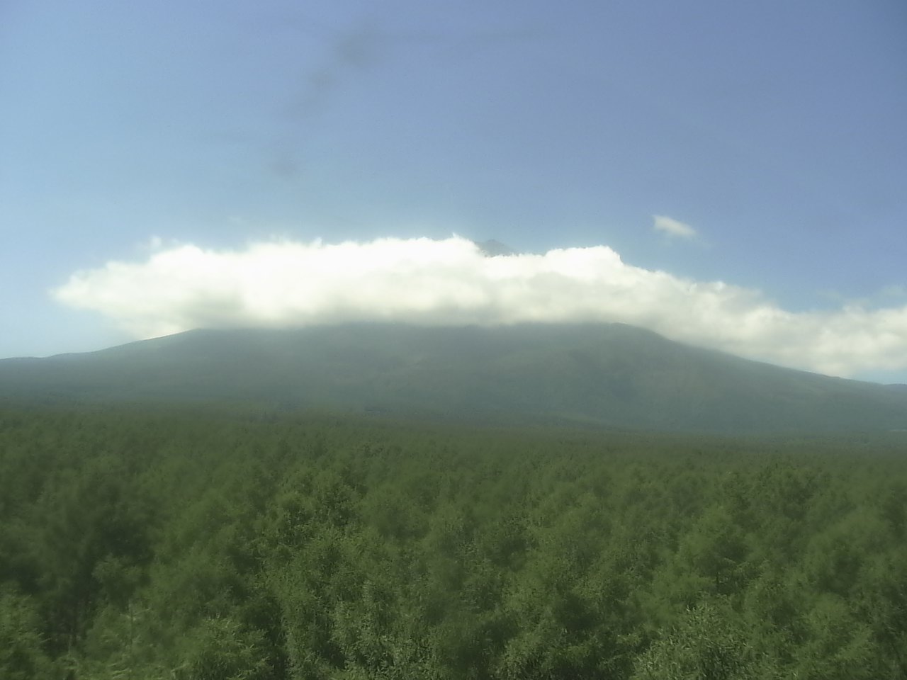 Mt. Fuji as viewed from northern foothills ( Fuji Hokuroku Flux Observation Site)
