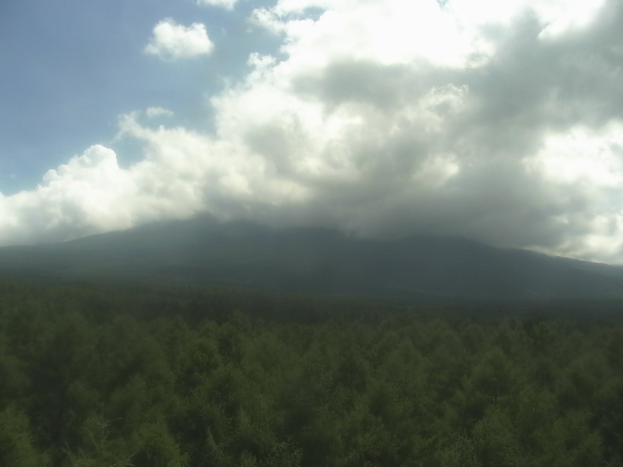 富士北麓からみた富士山2（富士山北麓フラックス観測サイト）