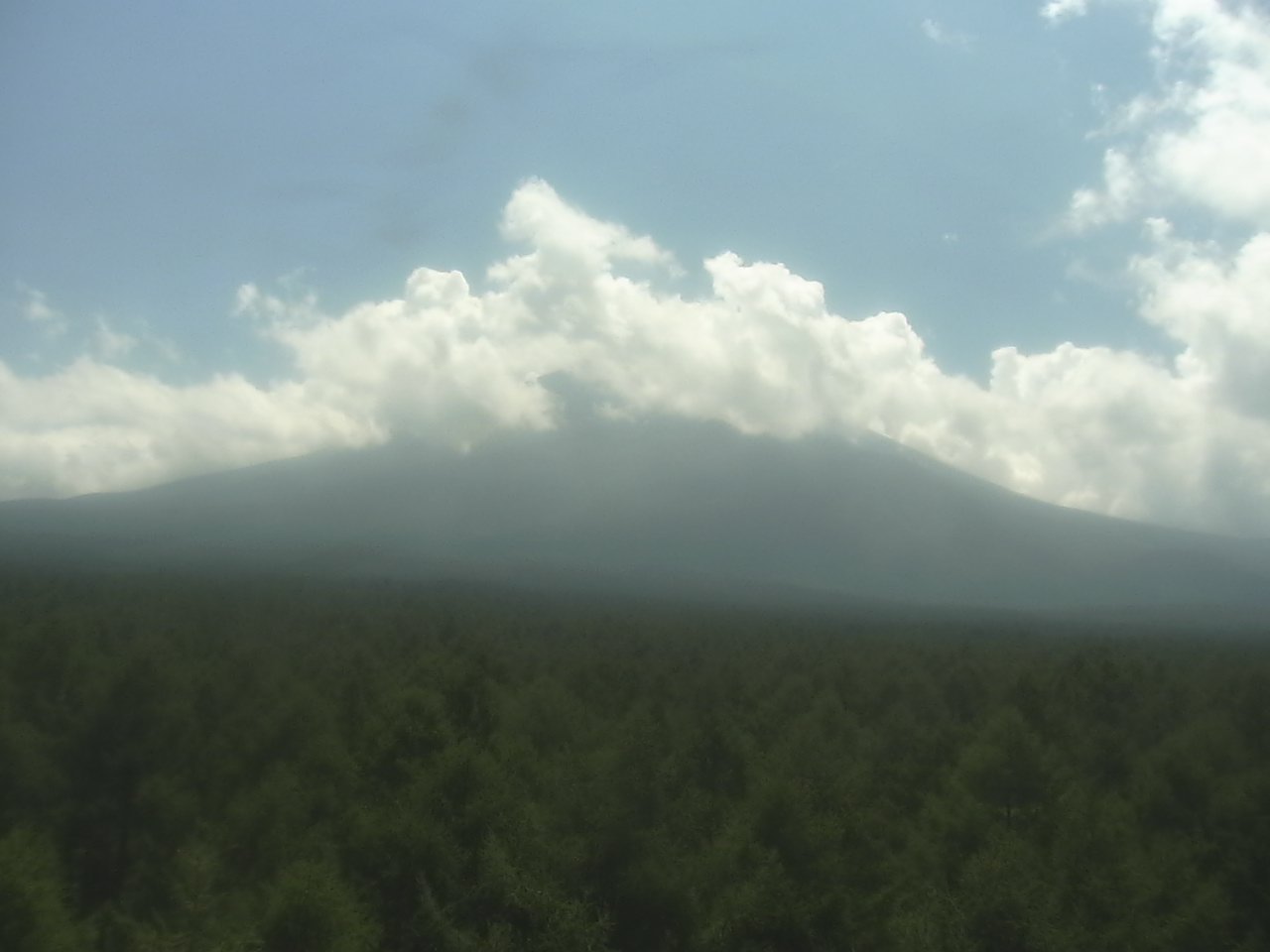 Mt. Fuji as viewed from northern foothills ( Fuji Hokuroku Flux Observation Site)