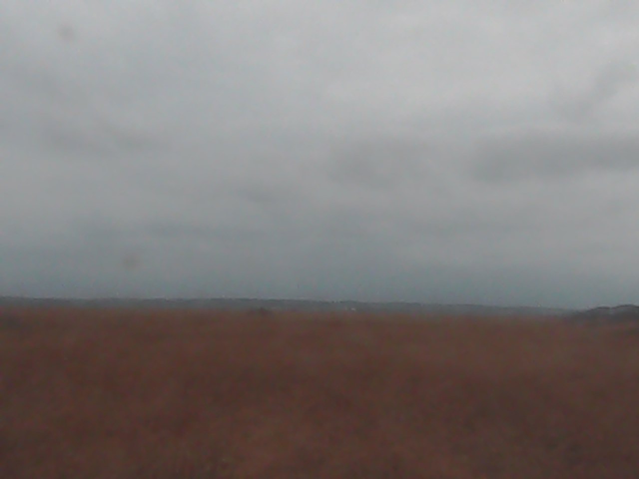 Sarobetsu Plain and Mt.Rishiri