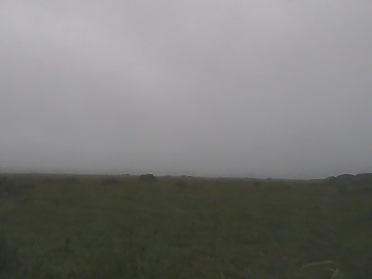 Sarobetsu Plain and Mt.Rishiri