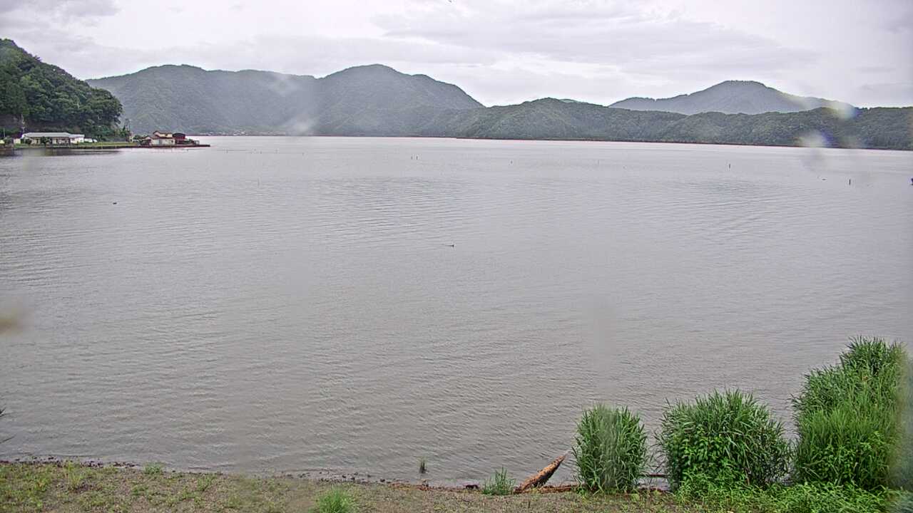 三方湖の水鳥