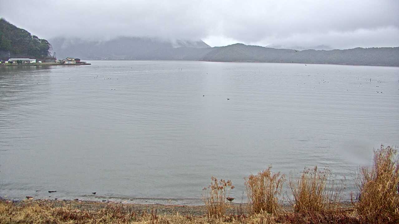 Waterbirds in Lake Mikatako 