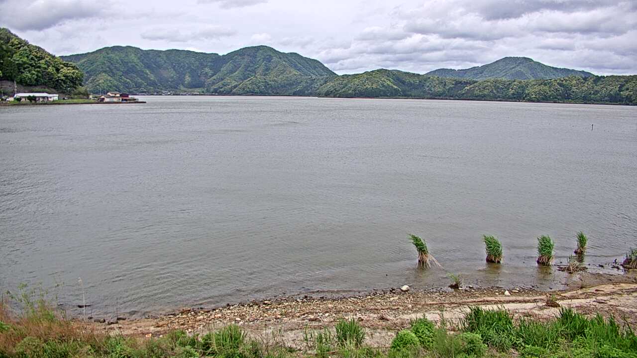 三方湖の水鳥