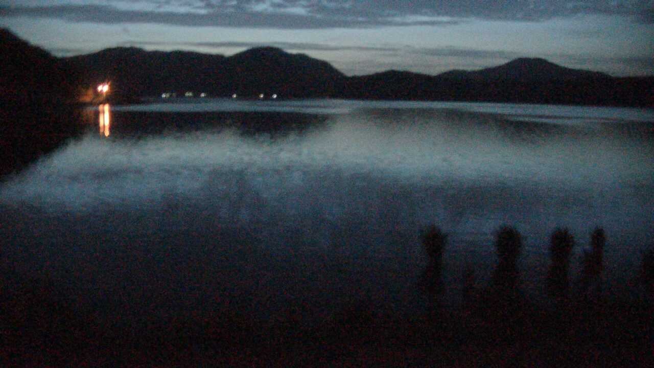 三方湖の水鳥