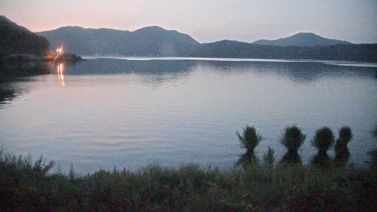 三方湖の水鳥