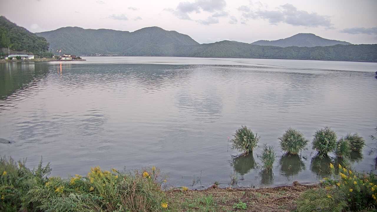 三方湖の水鳥