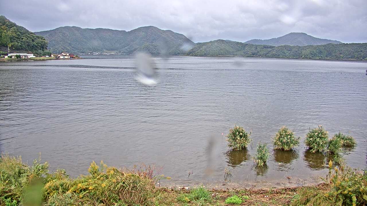 Waterbirds in Lake Mikatako 