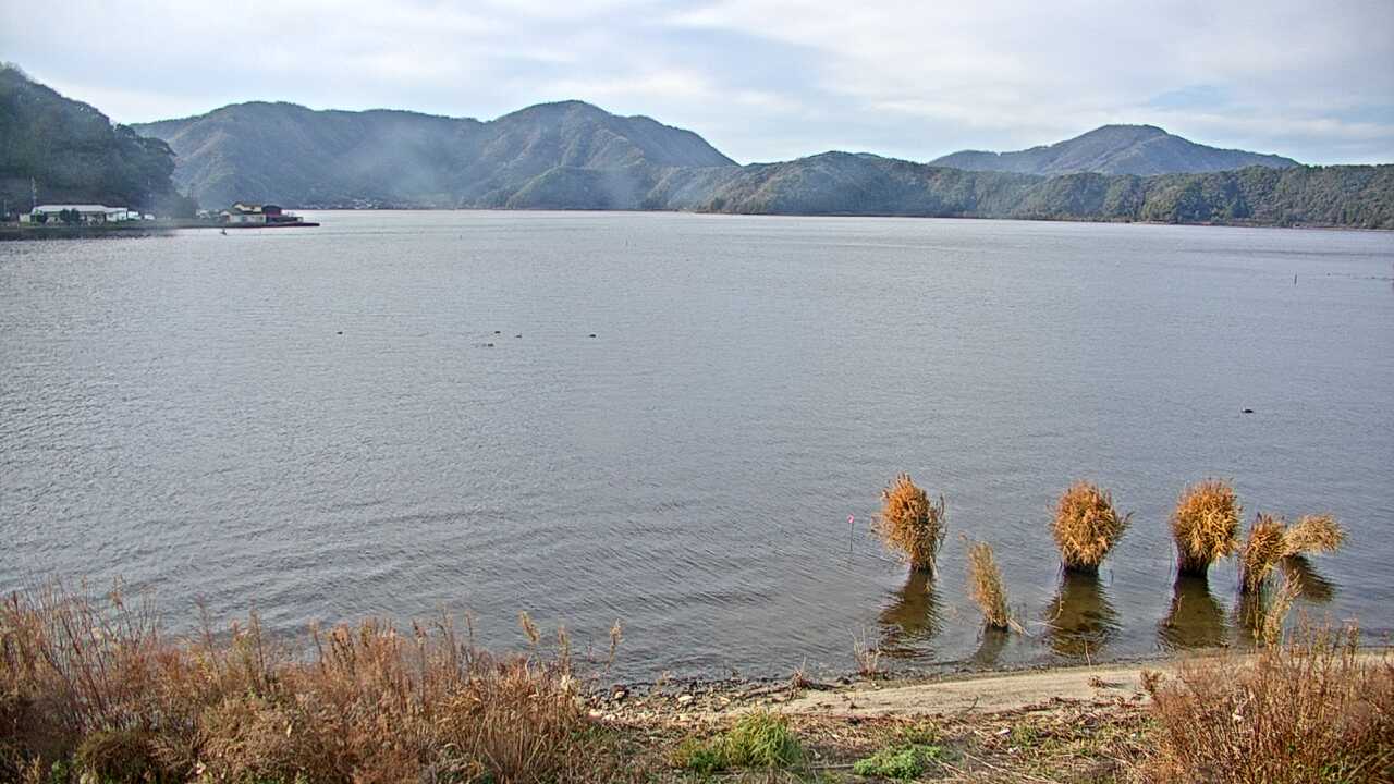 Waterbirds in Lake Mikatako 