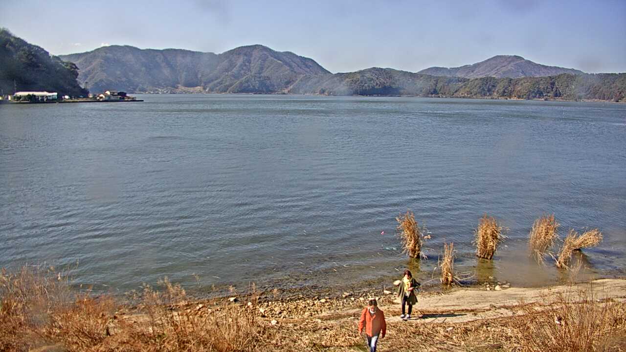 Waterbirds in Lake Mikatako 