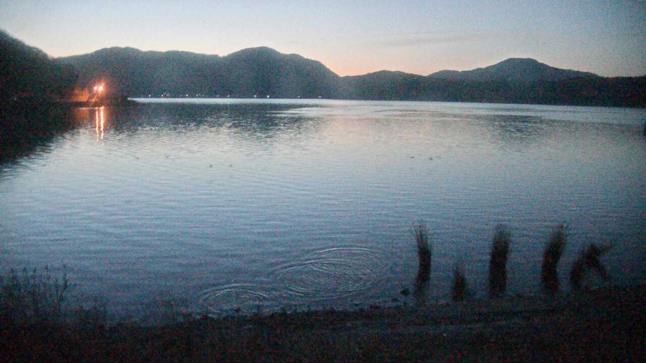 Waterbirds in Lake Mikatako 