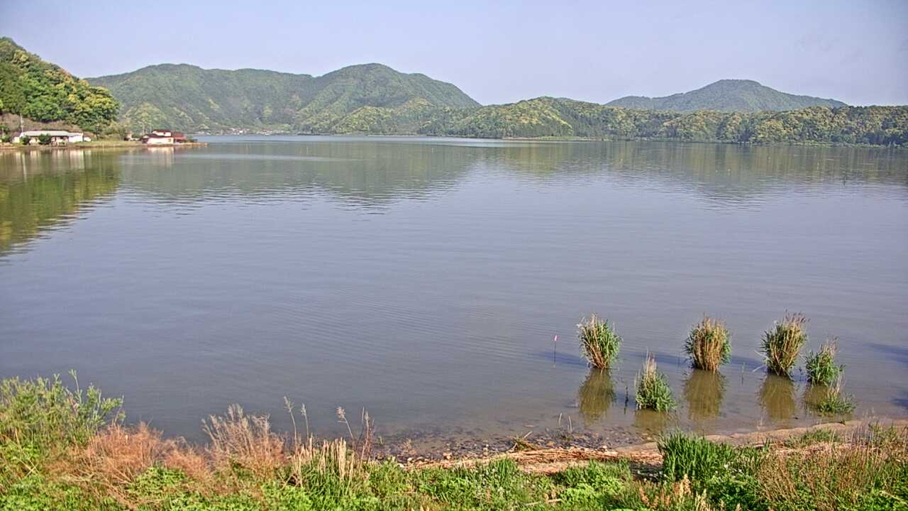 三方湖の水鳥