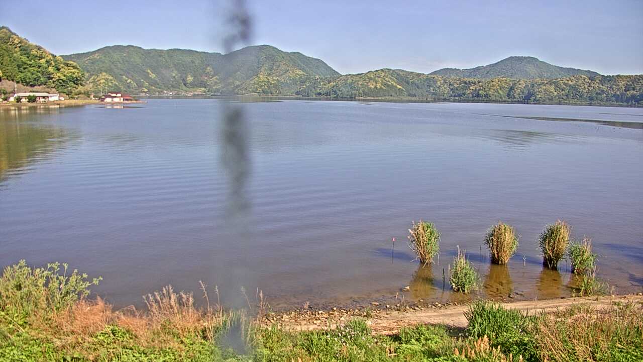 三方湖の水鳥