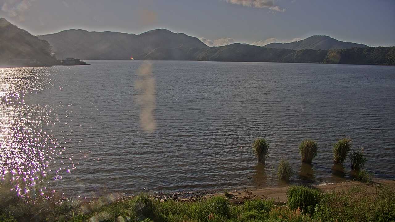 Waterbirds in Lake Mikatako 