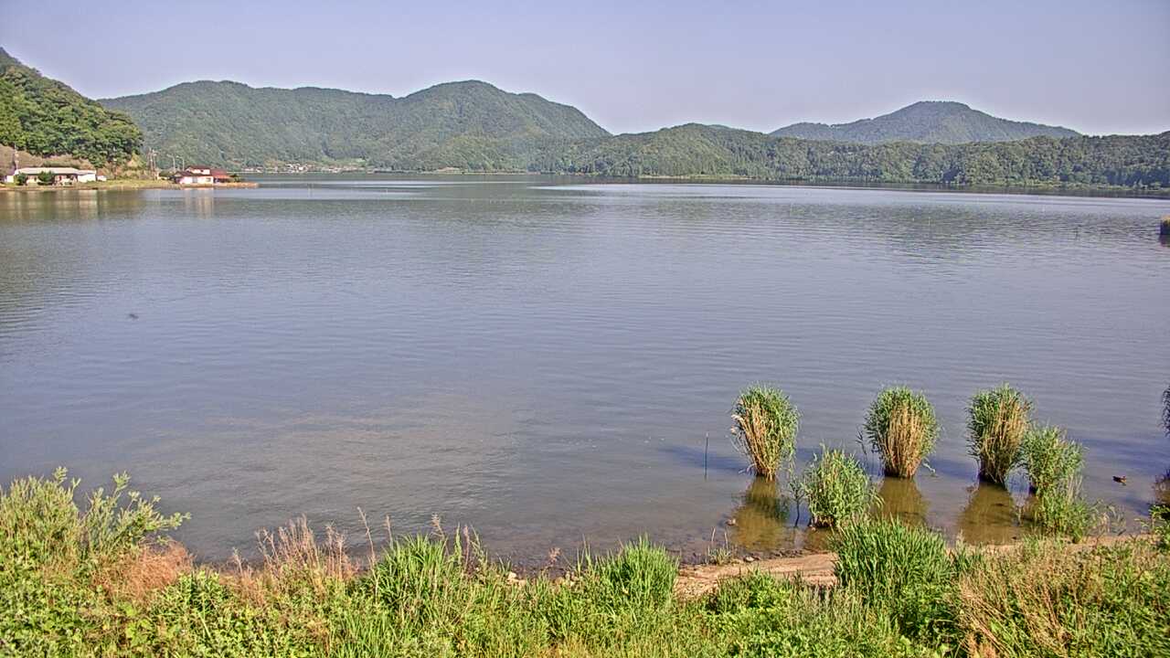 Waterbirds in Lake Mikatako 