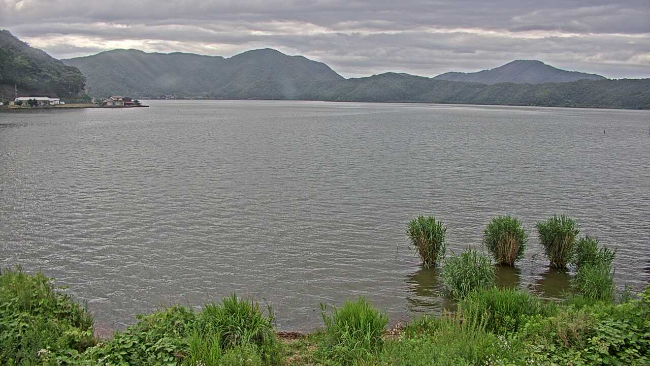 三方湖の水鳥