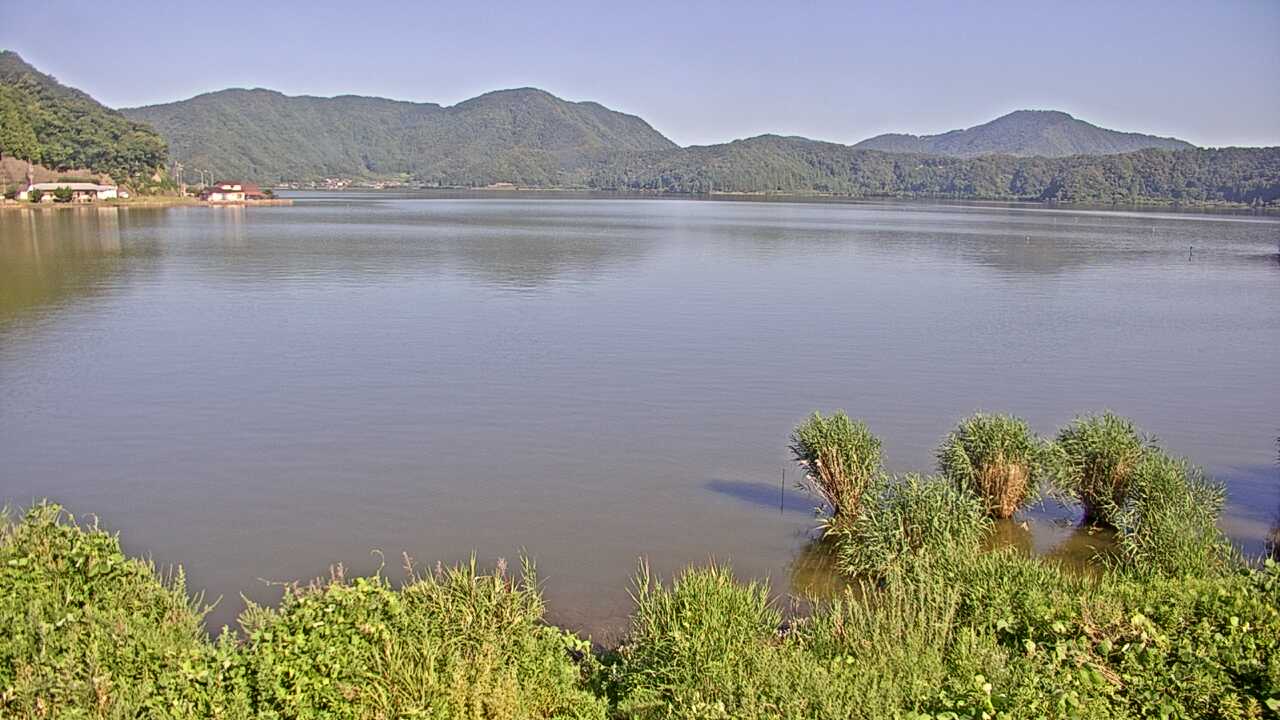 Waterbirds in Lake Mikatako 
