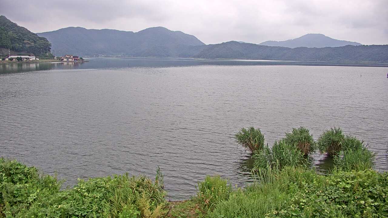 三方湖の水鳥