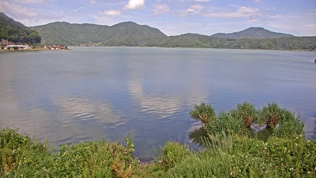 三方湖の水鳥
