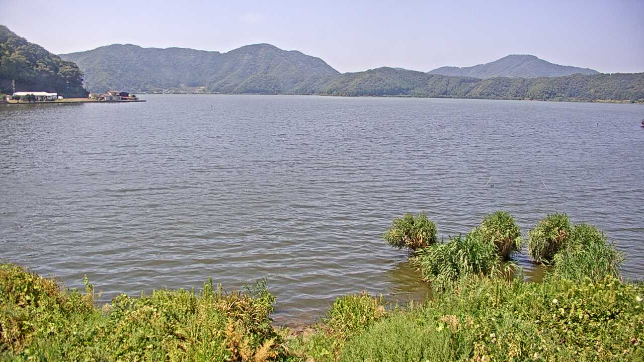 Waterbirds in Lake Mikatako 