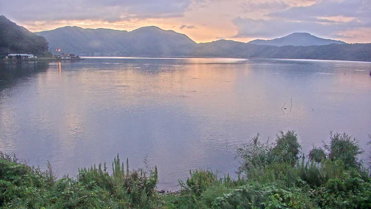 三方湖の水鳥