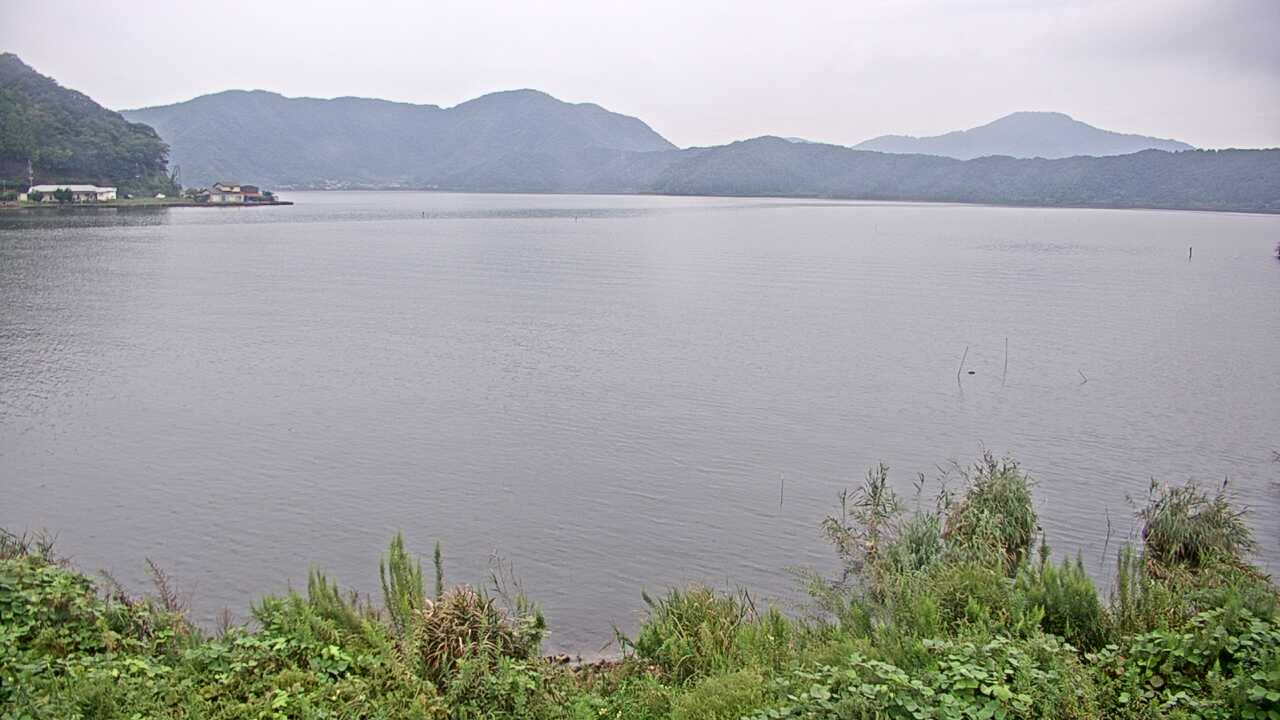 Waterbirds at Lake Mikata