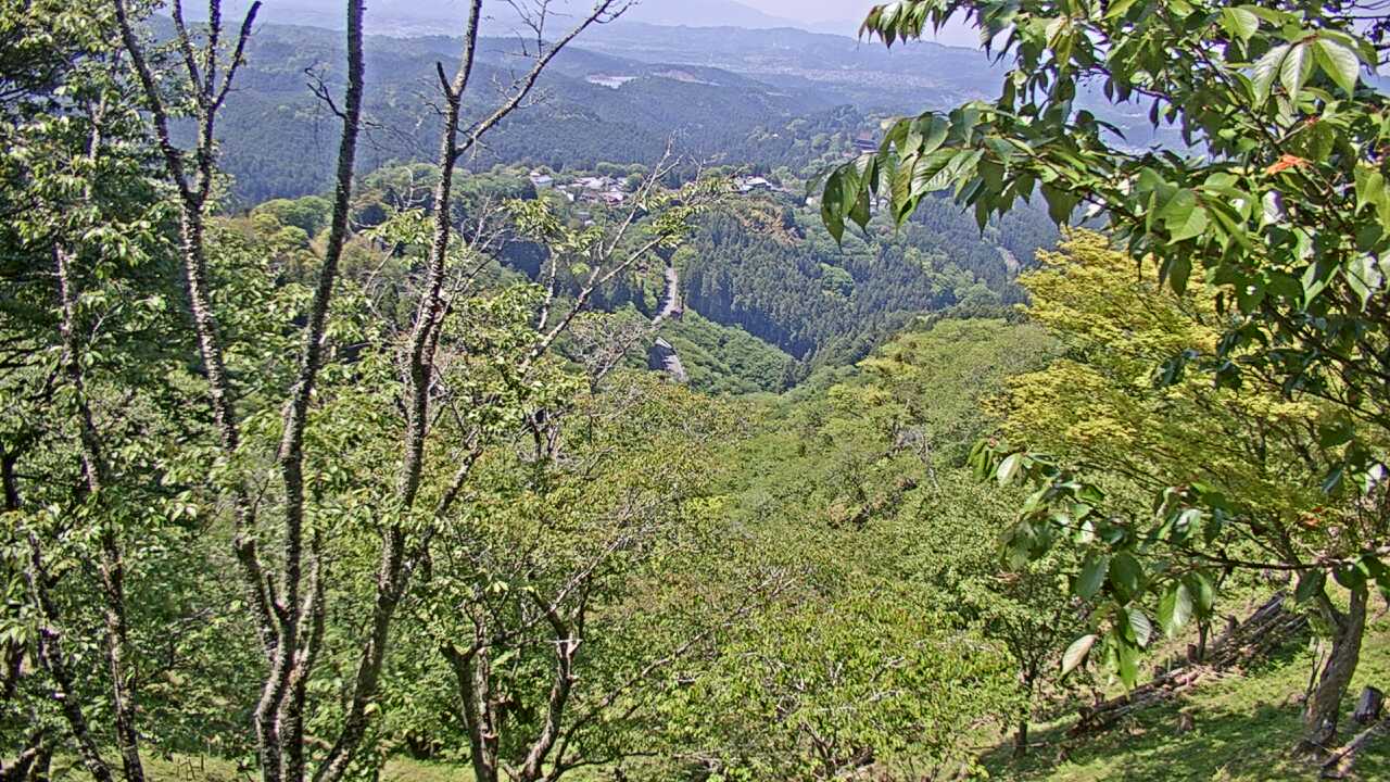 吉野山上千本から望む吉野桜と町並み