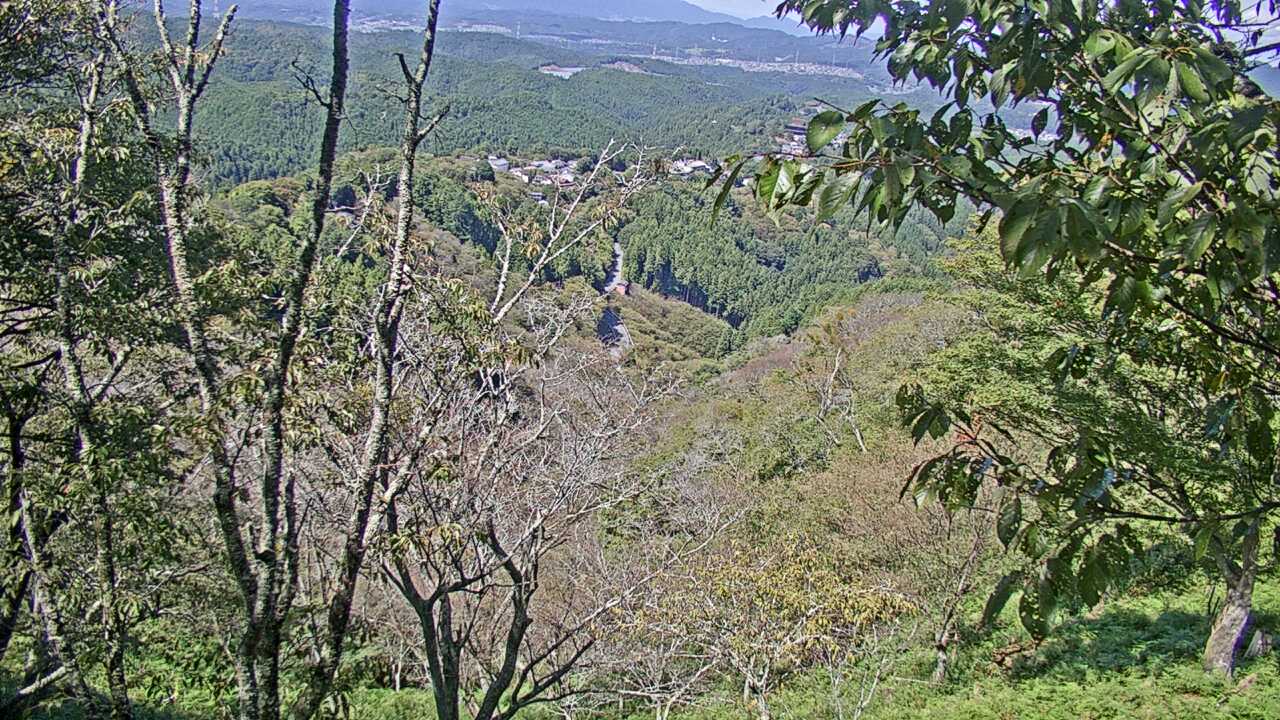 吉野山上千本から望む吉野桜と町並み