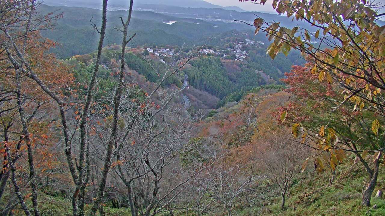 吉野山上千本から望む吉野桜と町並み