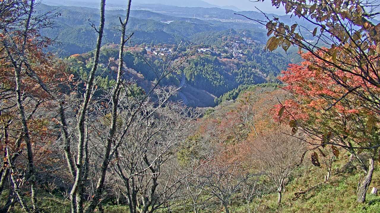 吉野山上千本から望む吉野桜と町並み