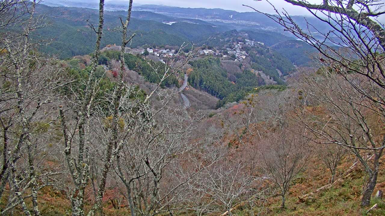 吉野山上千本から望む吉野桜と町並み