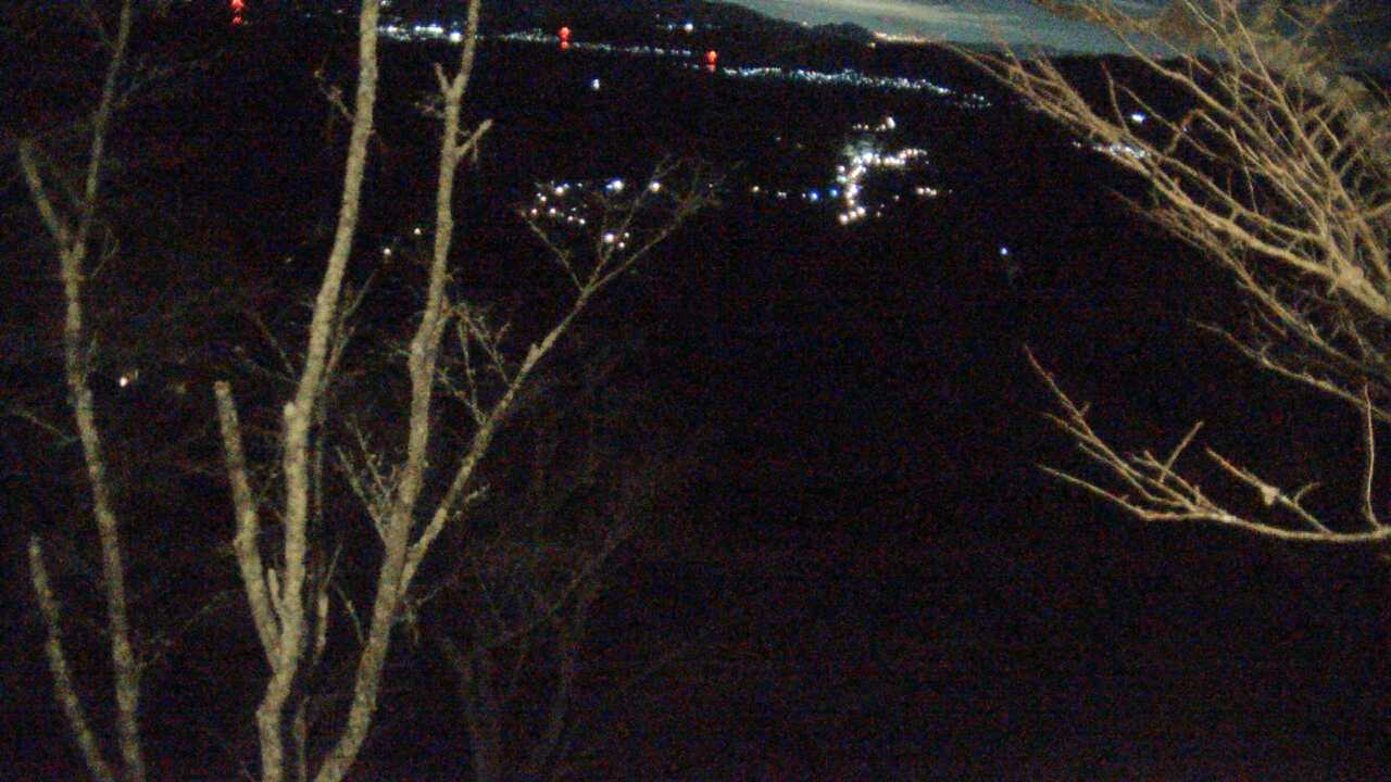 吉野山上千本から望む吉野桜と町並み