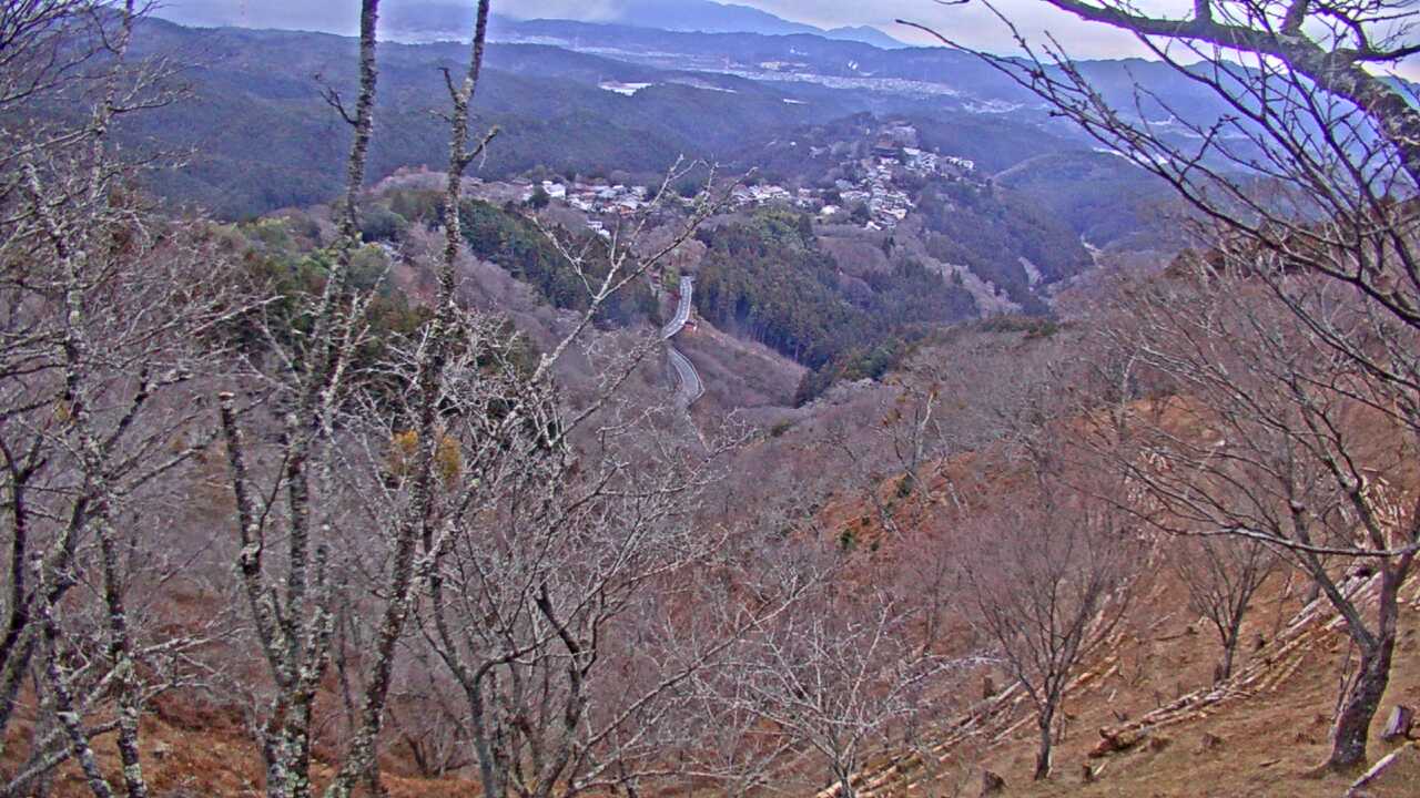 吉野山上千本から望む吉野桜と町並み