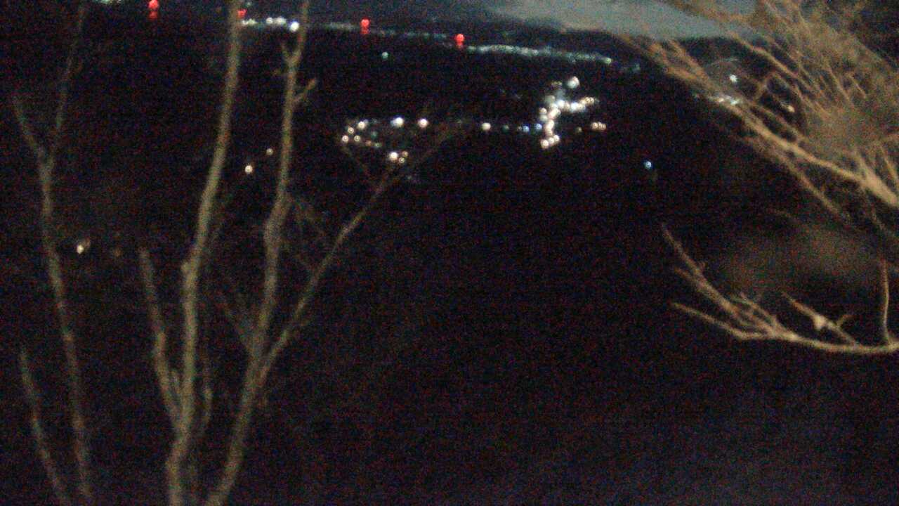 吉野山上千本から望む吉野桜と町並み