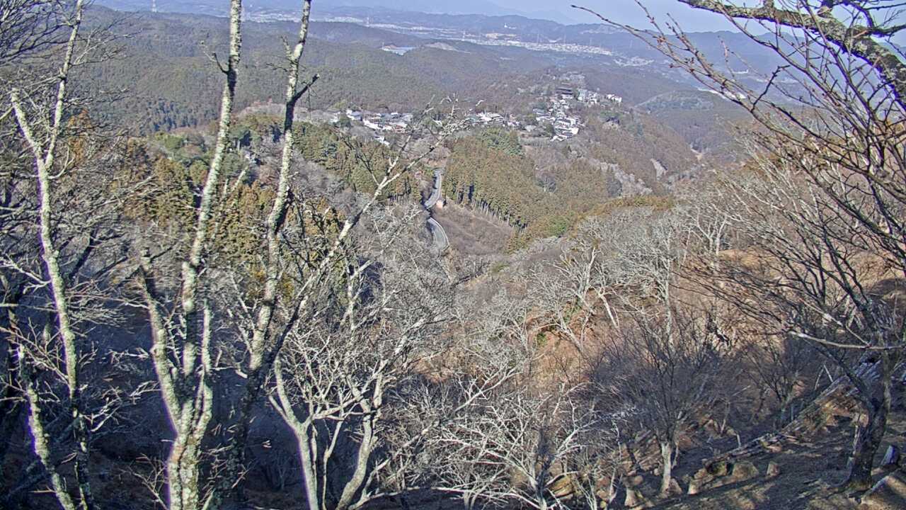 吉野山上千本から望む吉野桜と町並み