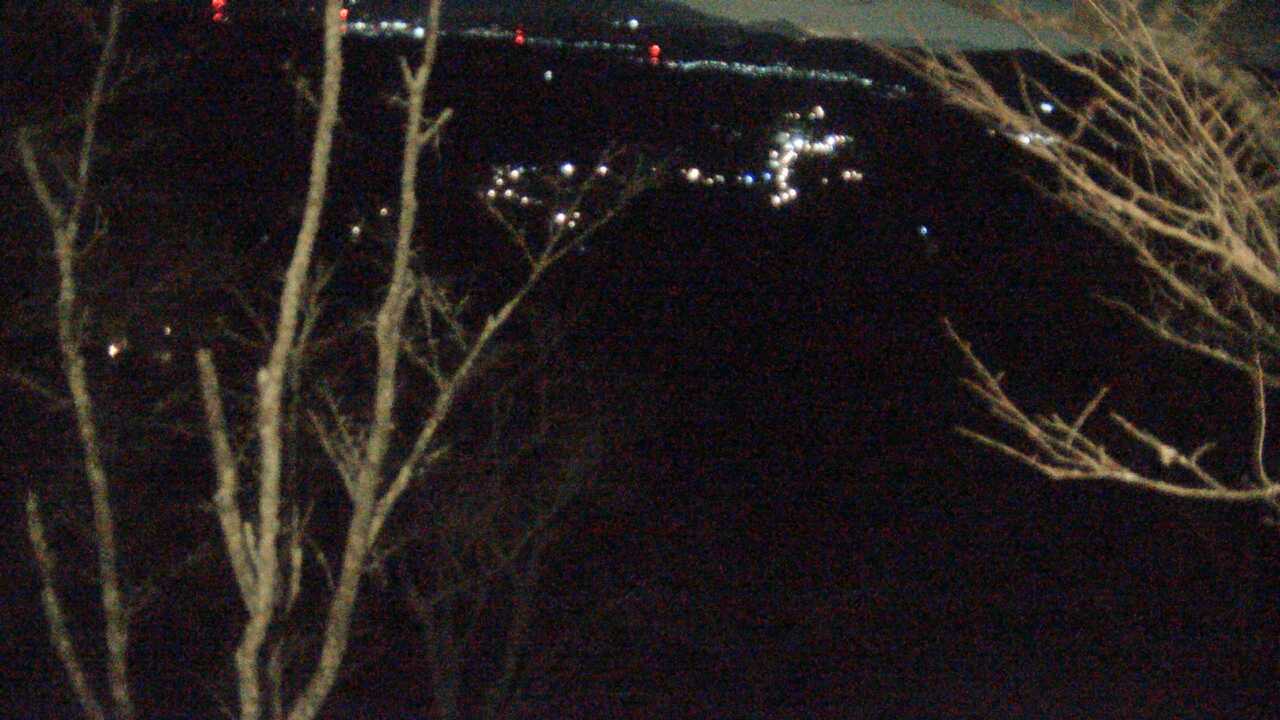 吉野山上千本から望む吉野桜と町並み