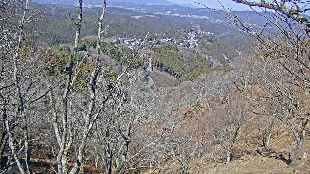 吉野山上千本から望む吉野桜と町並み